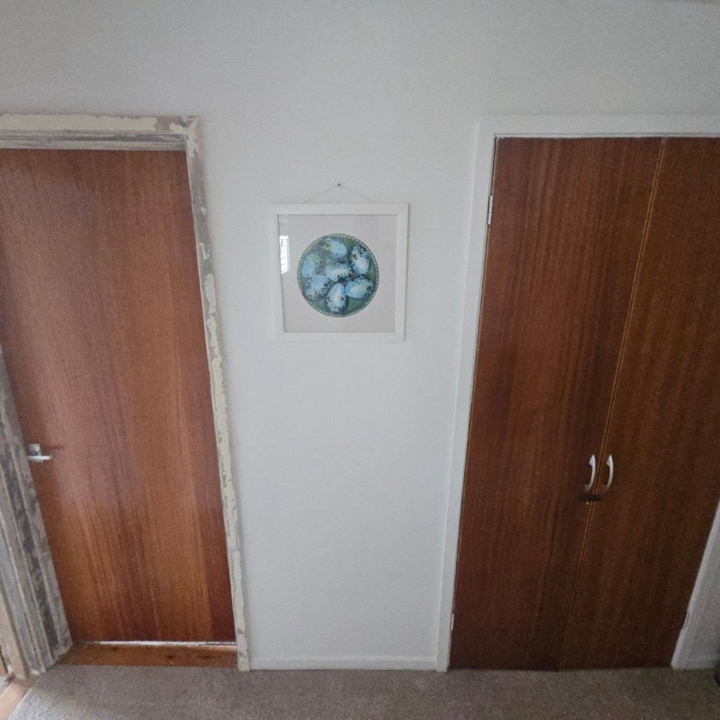 The old hardboard doors before they were replaced