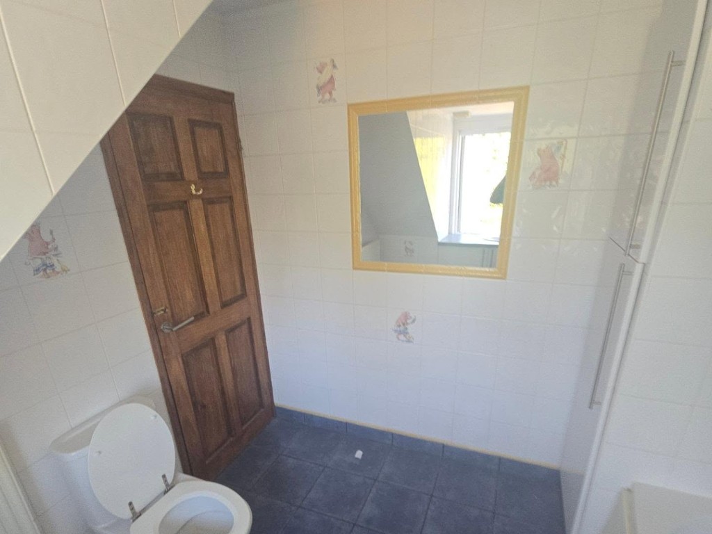The old door and mirror before the bathroom was stripped out