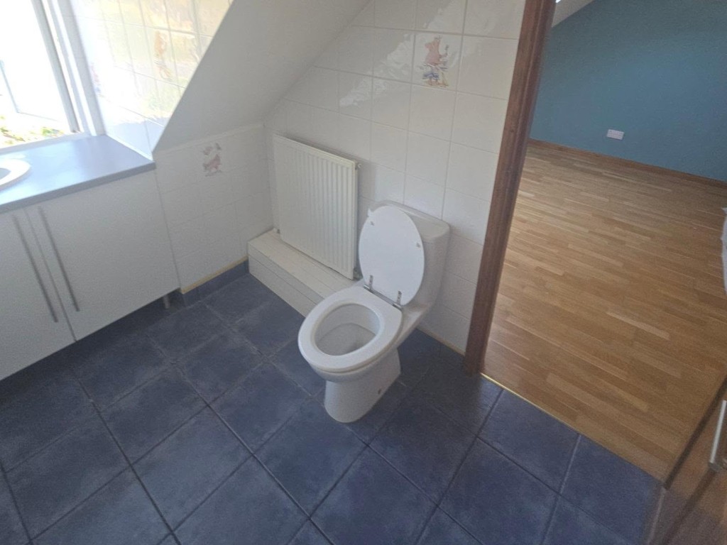 The bathroom before the renovation, with the old suite and cartoon wall tiles
